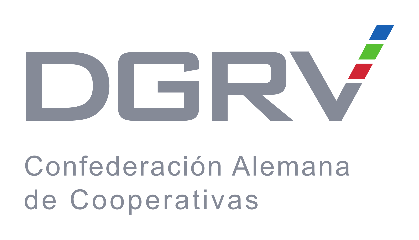 DGRV Confederación Alemana de Cooperativas